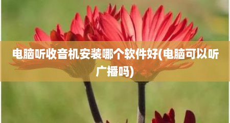 电脑听收音机安装哪个软件好(电脑可以听广播吗)