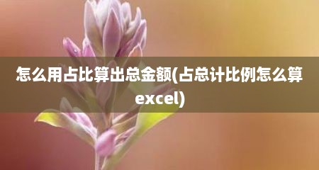 怎么用占比算出总金额(占总计比例怎么算excel)