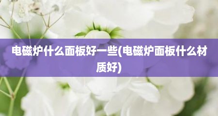 电磁炉什么面板好一些(电磁炉面板什么材质好)