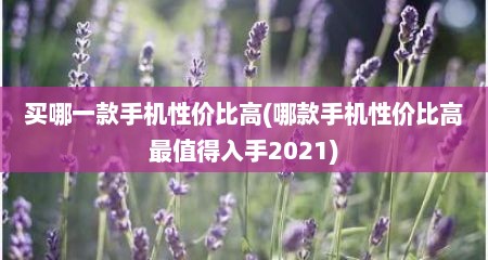 买哪一款手机性价比高(哪款手机性价比高最值得入手2021)