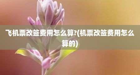 飞机票改签费用怎么算?(机票改签费用怎么算的)