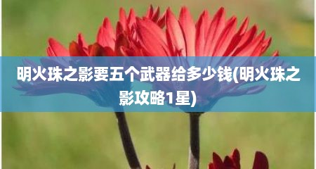 明火珠之影要五个武器给多少钱(明火珠之影攻略1星)