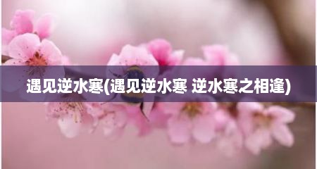 遇见逆水寒(遇见逆水寒 逆水寒芝相逢)