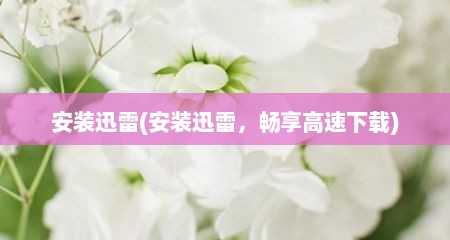 安装迅雷(安装迅雷，畅享高速下载)