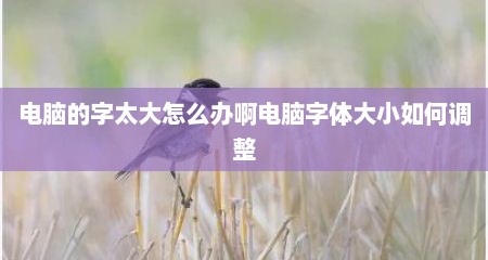 电脑的字太大怎么办啊电脑字体大小如何调整