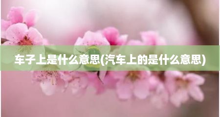 车子上是什么意思(汽车上的是什么意思)