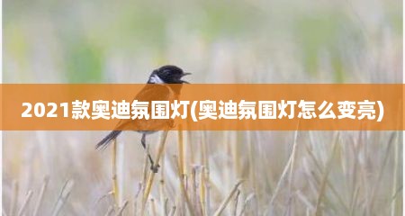 2021款奥迪氛围灯(奥迪氛围灯怎么变亮)