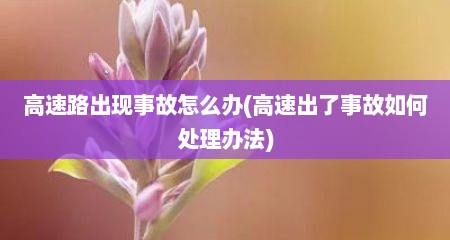 高速路出现事故怎么办(高速出了事故如何处理办法)