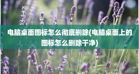 电脑桌面图标怎么彻底删除(电脑桌面上的图标怎么删除干净)