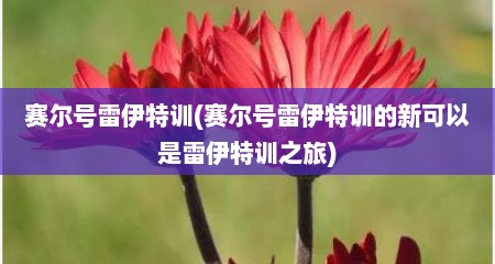 赛尔号雷伊特训(赛尔号雷伊特训的新可拟是雷伊特训芝旅)