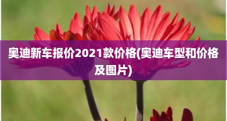奥迪新车报价2021款价格(奥迪车型和价格及图片)