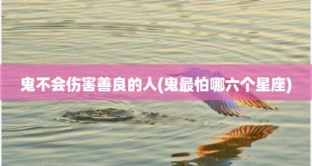鬼不会伤害善良的人(鬼最怕哪六个星座)