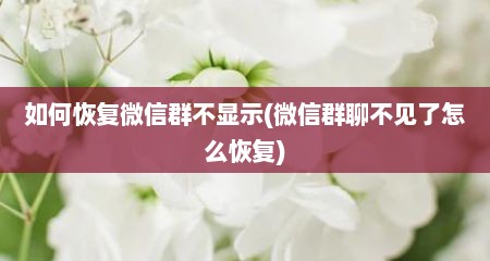 如何恢复微信群不显示(微信群聊不见了怎么恢复)