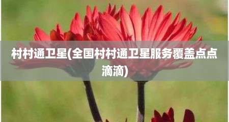 村村通卫星(全国村村通卫星服务覆盖点点滴滴)