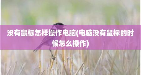 没有鼠标怎样操作电脑(电脑没有鼠标的时候怎么操作)