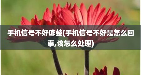 手机信号不好咋整(手机信号不好是怎么回事,该怎么处理)
