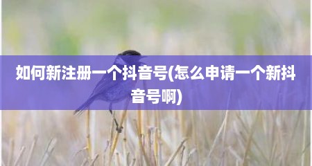 如何新注册一个抖音号(怎么申请一个新抖音号啊)