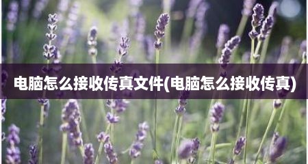 电脑怎么接收传真文件(电脑怎么接收传真)