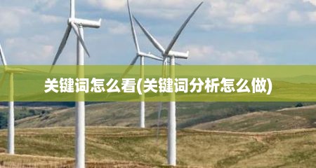 关键词怎么看(关键词分析怎么做)