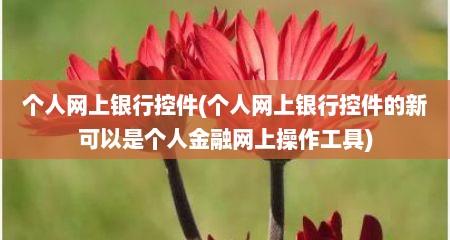 个人网上银行控件(个人网上银行控件的新可以是个人金融网上操作工具)