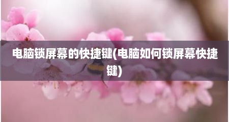 电脑锁屏幕的快捷键(电脑如何锁屏幕快捷键)