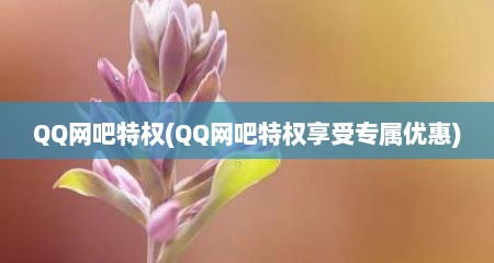 QQ网吧特权(QQ网吧特权享受专属优惠)