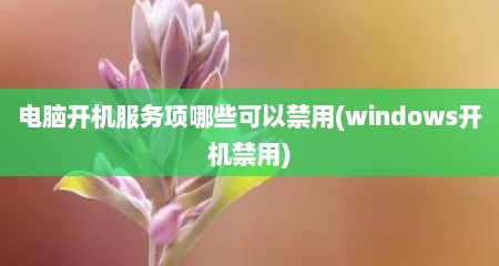 电脑开机服务项哪些可以禁用(windows开机禁用)
