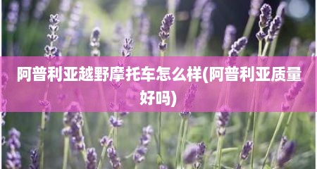 阿普利亚越野摩托车怎么样(阿普利亚质量好吗)