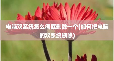 电脑双系统怎么彻底删除一个(如何把电脑的双系统删除)
