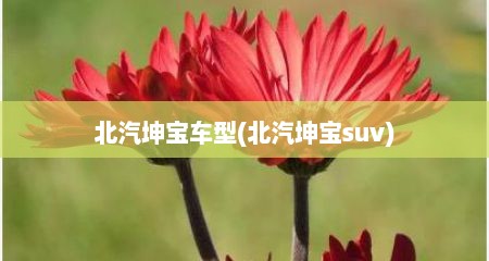 北汽坤宝车型(北汽坤宝suv)