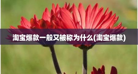 淘宝爆款一般又被称为什么(淘宝爆款)