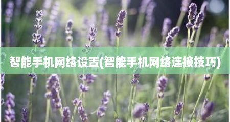 智能手机网络设置(智能手机网络连接技巧)