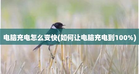 电脑充电怎么变快(如何让电脑充电到100%)