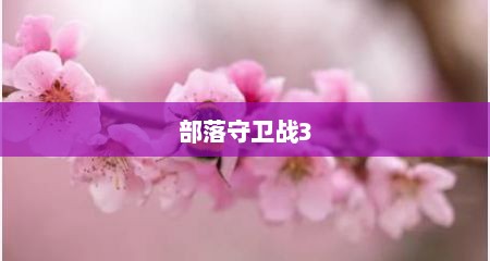 部落守卫战3