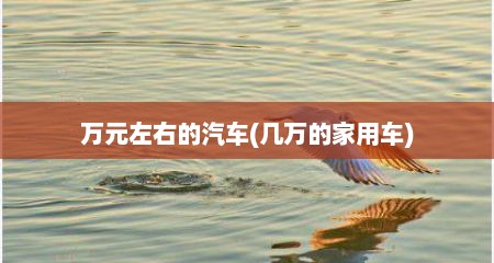 万元左右的汽车(几万的家用车)