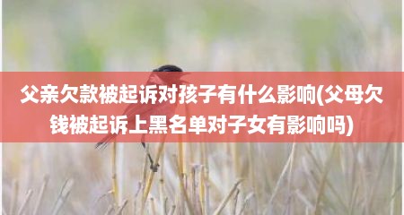 父亲欠款被起诉对孩子有什么影响(父母欠钱被起诉上黑名单对子女有影响吗)