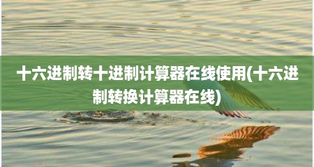 十六进制转十进制计算器在线使用(十六进制转换计算器在线)