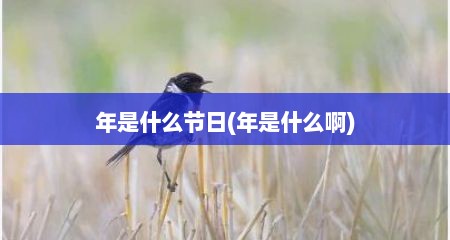 年是什么节日(年是什么啊)