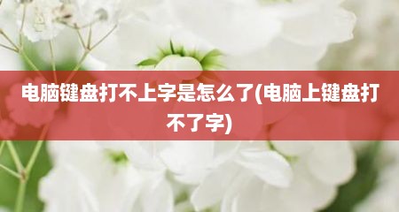 电脑键盘打不上字是怎么了(电脑上键盘打不了字)