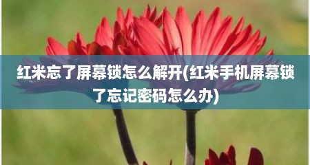 红米忘了屏幕锁怎么解开(红米手机屏幕锁了忘记密码怎么办)