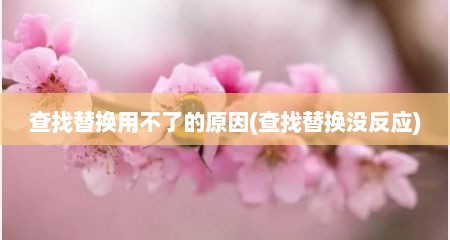 查找替换用不了的原因(查找替换没反应)