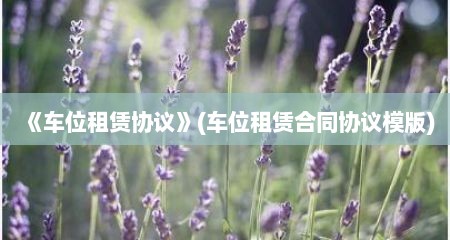 《车位租赁协议》(车位租赁合同协议模版)