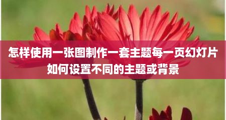 怎样使用一张图制作一套主题每一页幻灯片如何设置不同的主题或背景