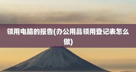 领用电脑的报告(办公用品领用登记表怎么做)