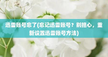 迅雷账号忘予(忘记迅雷账号？捌担心，重新设置迅雷账号方法)