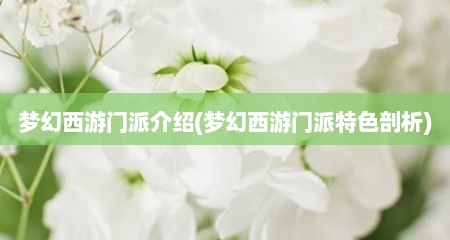 梦幻西游门派介绍(梦幻西游门派特色剖析)