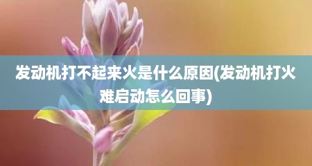 发动机打不起来火是什么原因(发动机打火难启动怎么回事)