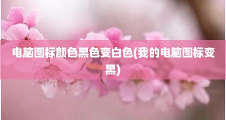 电脑图标颜色黑色变白色(我的电脑图标变黑)