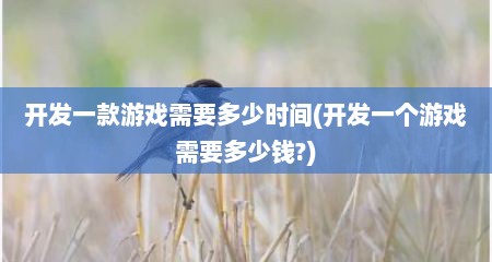 开发一款游戏需要多少时间(开发一个游戏需要多少钱?)