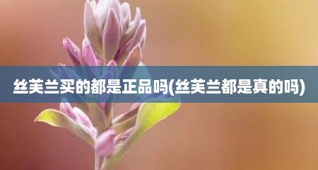 丝芙兰买的都是正品吗(丝芙兰都是真的吗)